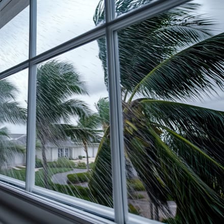 View of hurricane winds through a window.