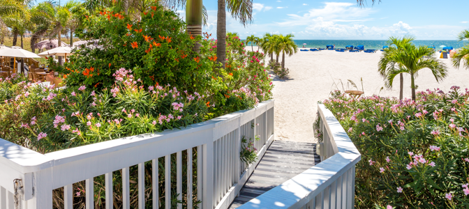 A boardwalk surrounded by colorful plants leading into a beautiful sandy beach.
