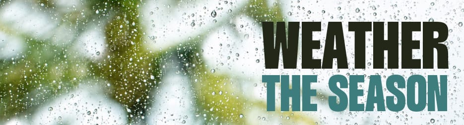 Raindrops on a window with blurred trees in the background. At the right, the words: weather the season.