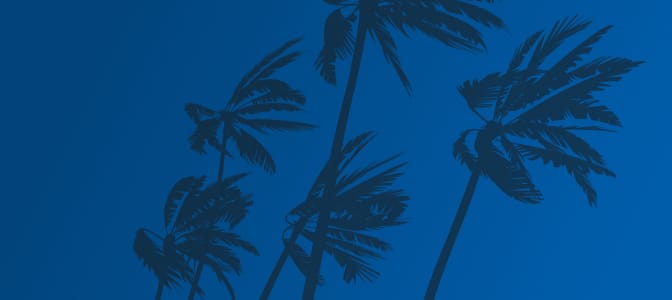 An illustration of palm trees swaying in hurricane winds.