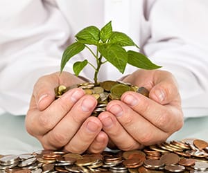 Hands cupped together holding a small tree rooted in a bed of coins